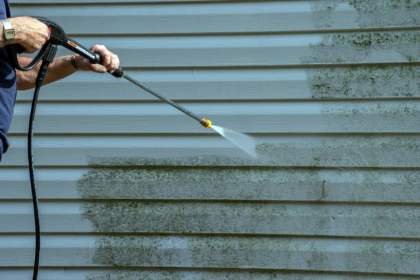 Best Solar Panel Cleaning  in Newstle, CA